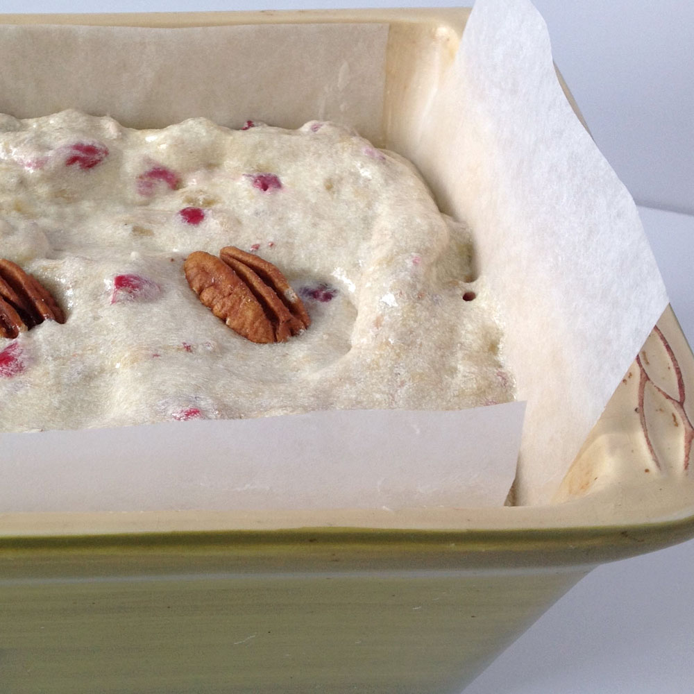 Banana Cranberry Bread Batter